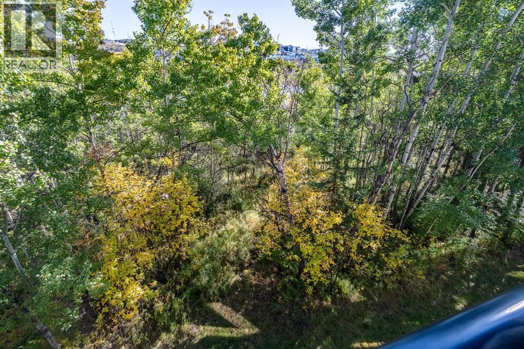 209, 45 Aspenmont Heights SW property photo 11